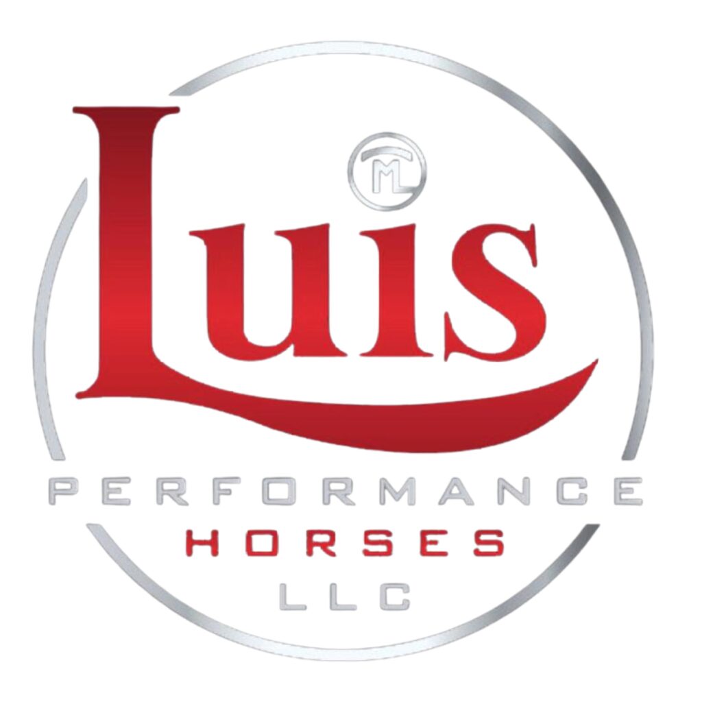 Luis Performance Horses